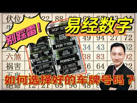 吉祥號碼|【數字吉祥】數字吉凶大解析！吉祥數字帶來好運，教你選車牌、。